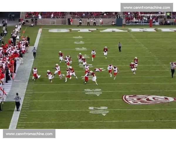 球迷狂欢！橄榄球赛场外的精彩不容错过